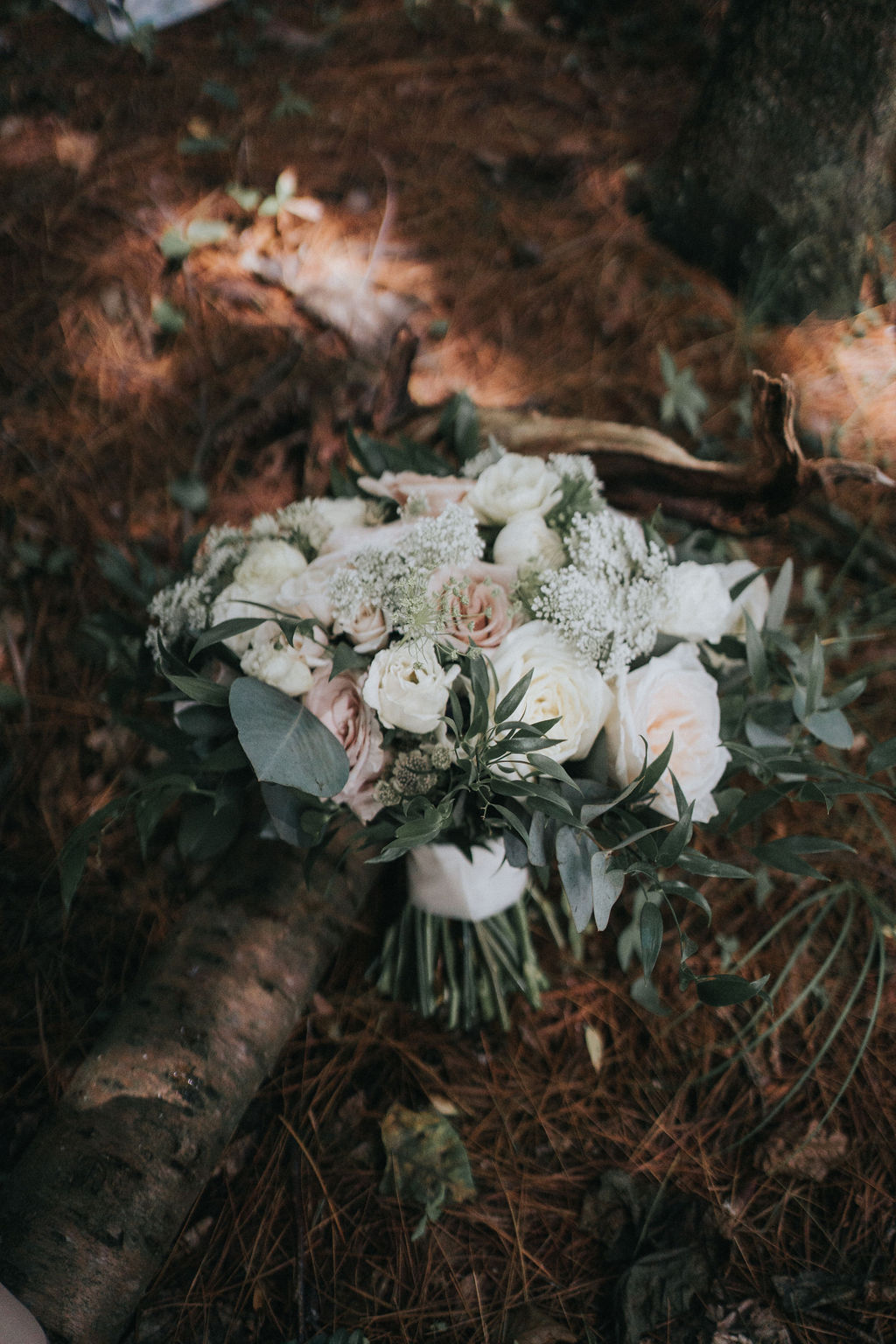 Chicago Wedding Photographer