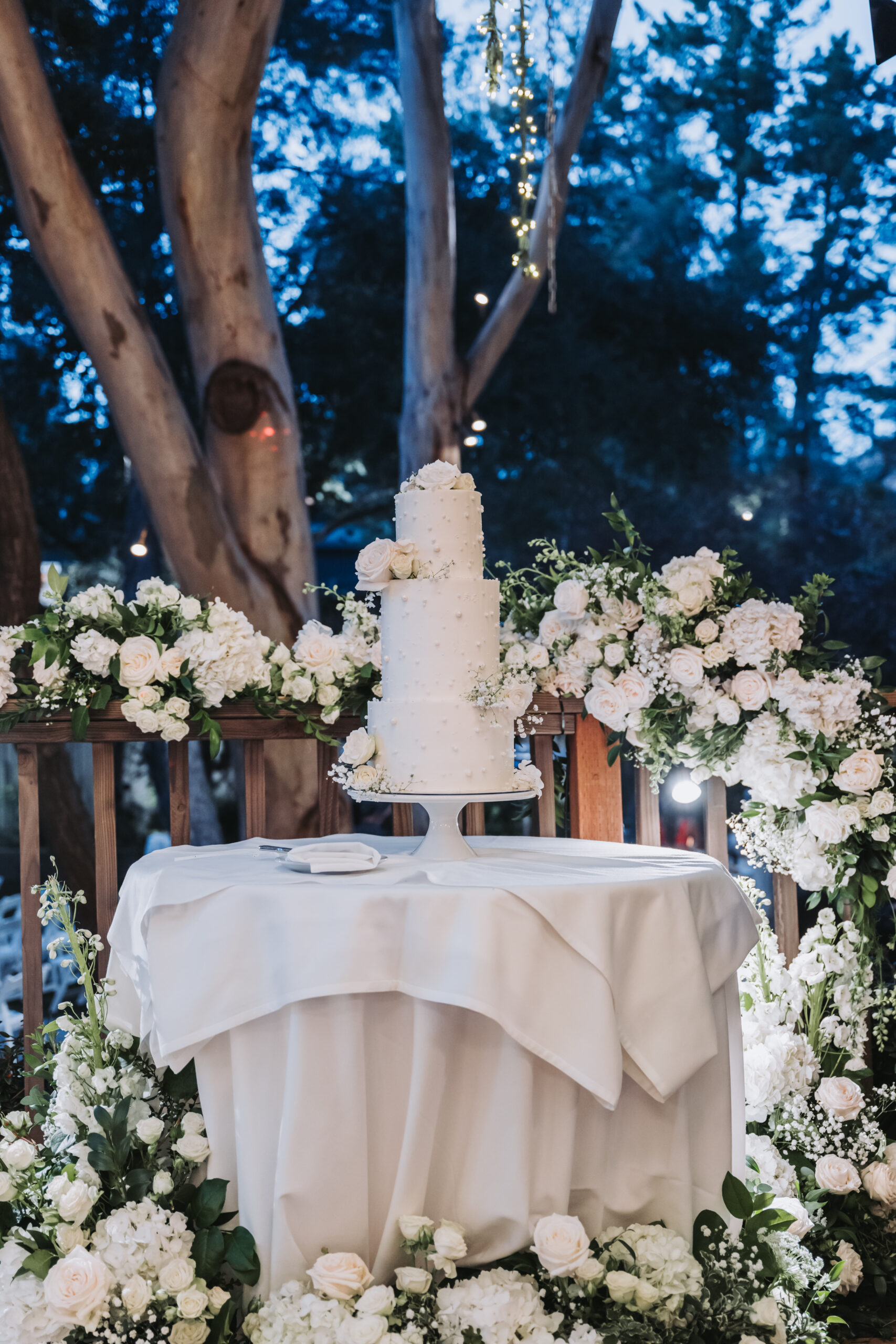 Philadelphia Wedding Photography